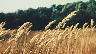 免费信息轰炸机